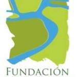 Imagen de Fundación Forecos